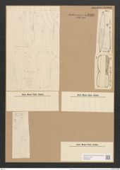 Amphiprora maxima var. ? dubia Clev. et Grun. (de-Toni-Nr.: Genus 29, Species 1308) Zeichnungen Sammlung Grunow Nr. 2520 (NHMW-BOT-W0369686)